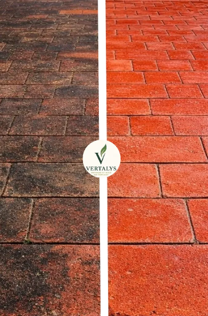 Nettoyage terrasse en dalle, pierre et autres surfaces : service professionnel rapide à Montauban