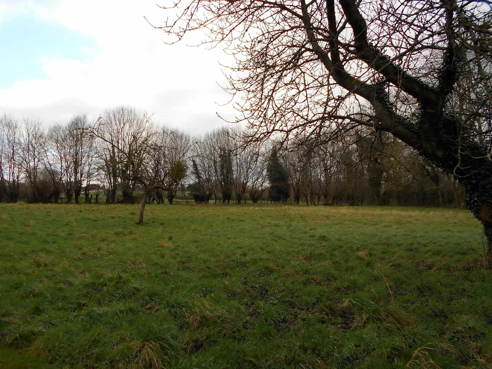 Maison avec chambre au rez de chaussée