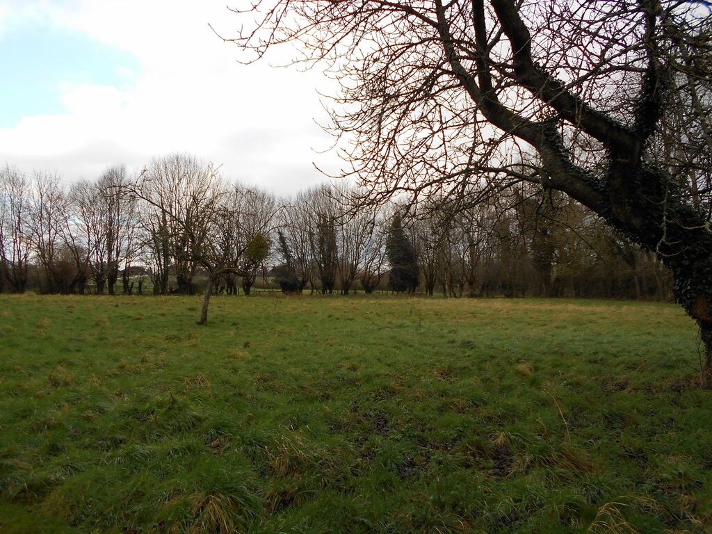 Maison avec chambre au rez de chaussée
