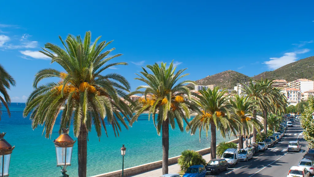 Livraison-marchandises-Corse 