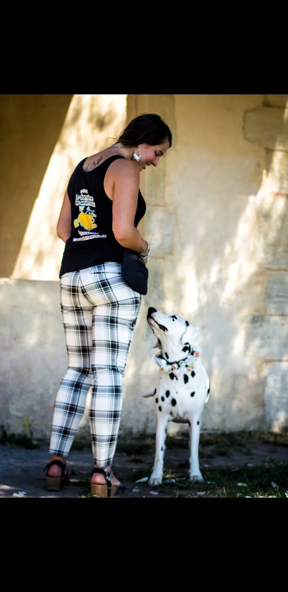 accompagnateur de chien mariage