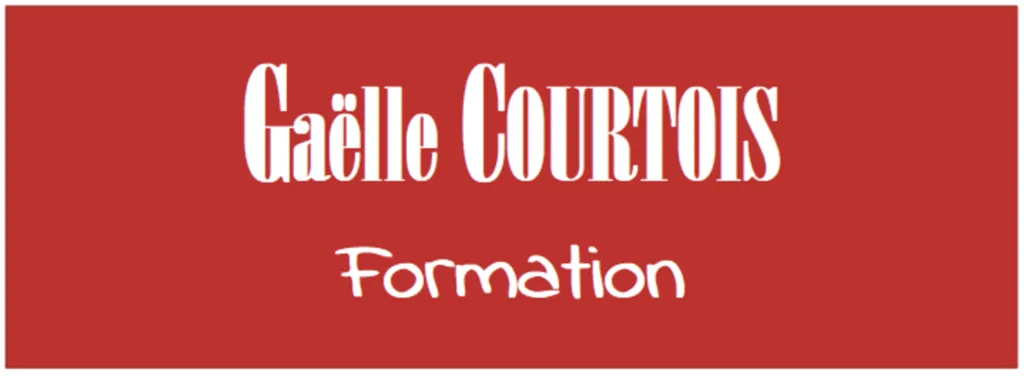 Formations dédiées aux professionnels : MDB Formation