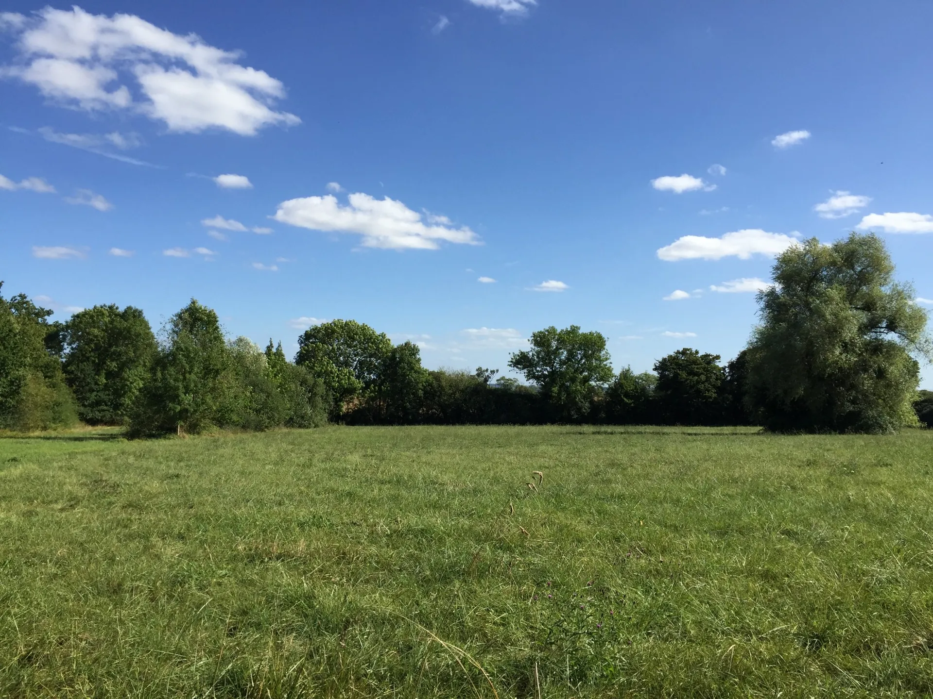 MAISON A VENDRE IDEAL CHEVAUX