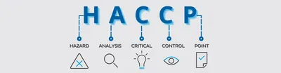 Maîtriser la méthode HACCP : l'engagement Noxus Services pour votre sécurité alimentaire