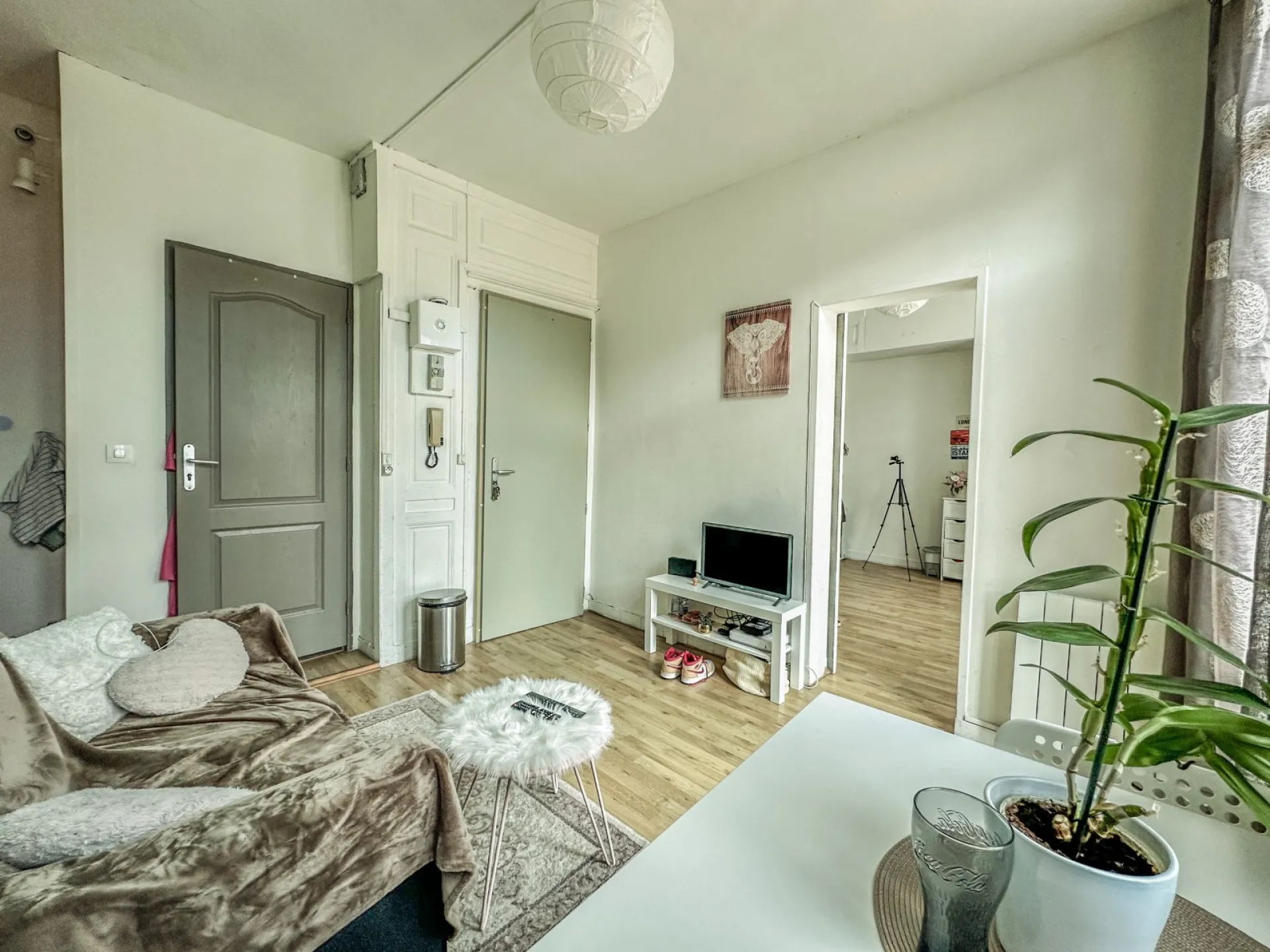 Pièce de vie lumineuse 