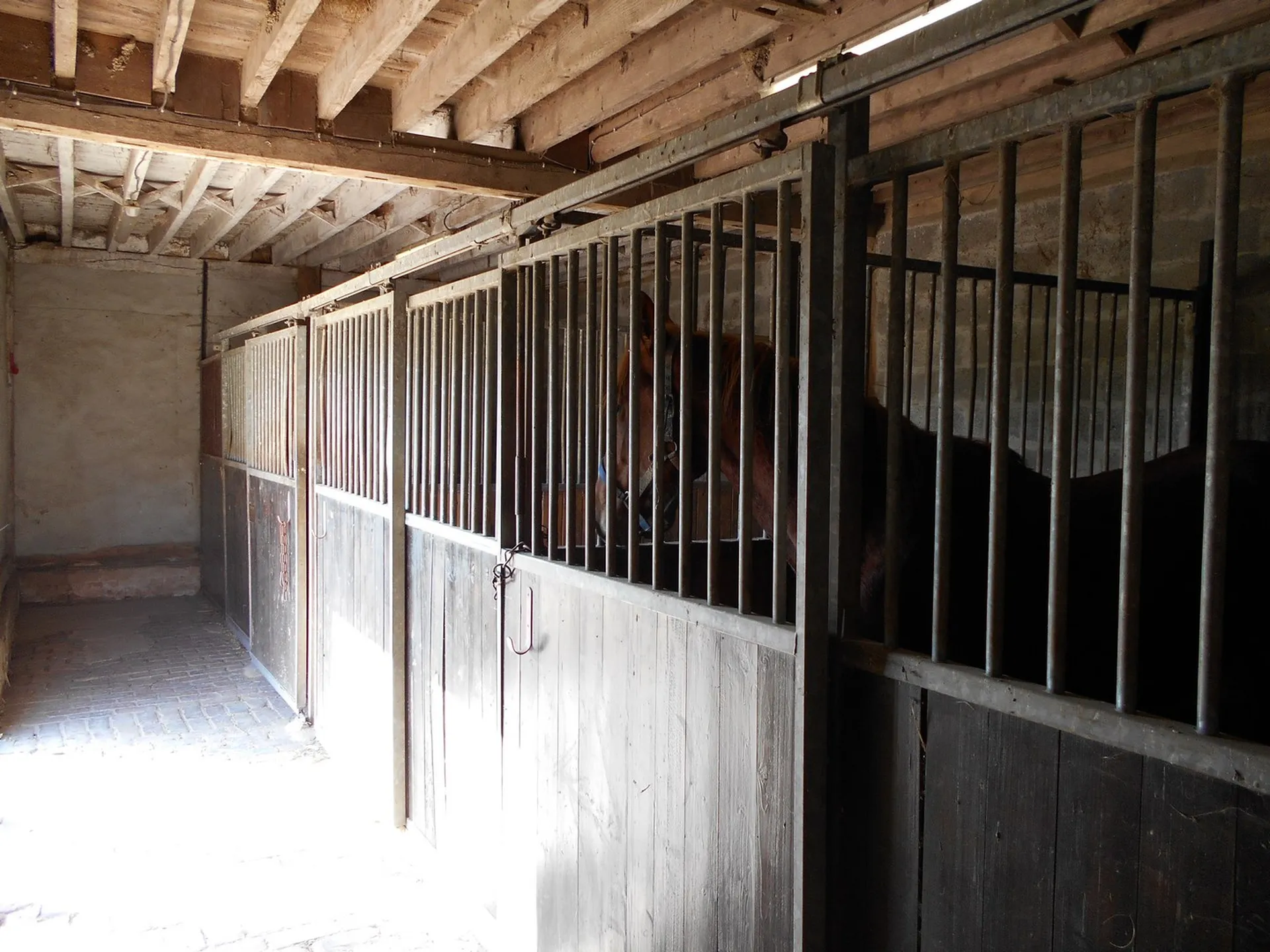 EN VENTE, PROPIETE EQUESTRE EN NORMANDIE, AGENCE TERRES ET DEMEURES DE NORMANDIE LISIEUX