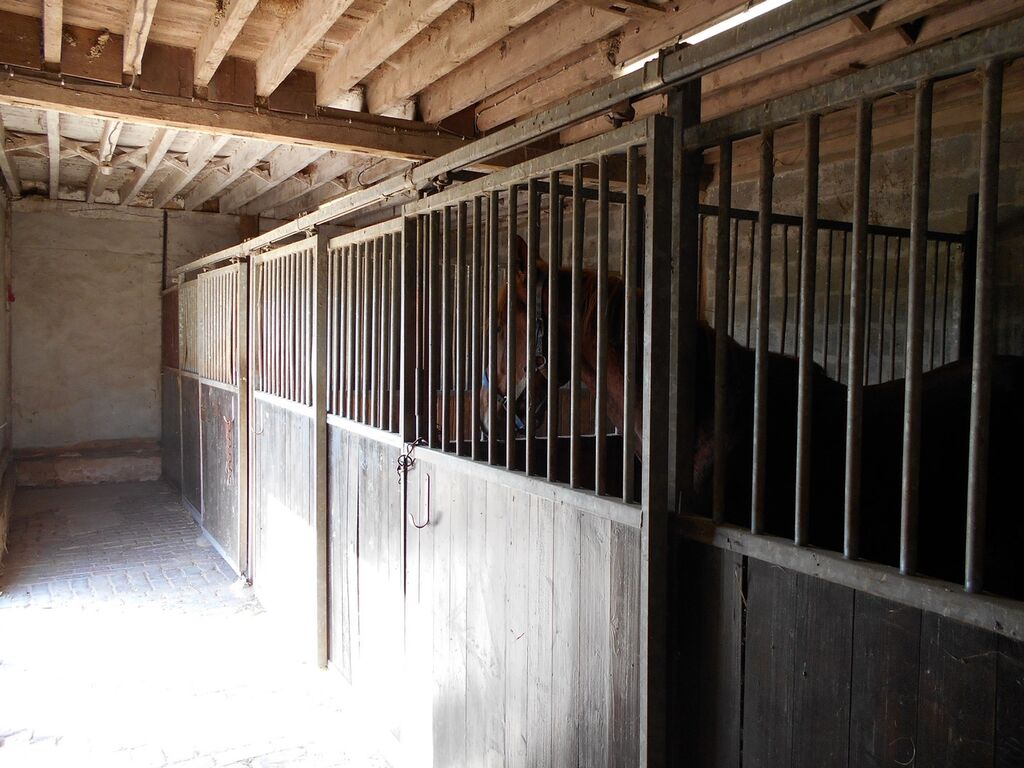 EN VENTE, PROPIETE EQUESTRE EN NORMANDIE, AGENCE TERRES ET DEMEURES DE NORMANDIE LISIEUX
