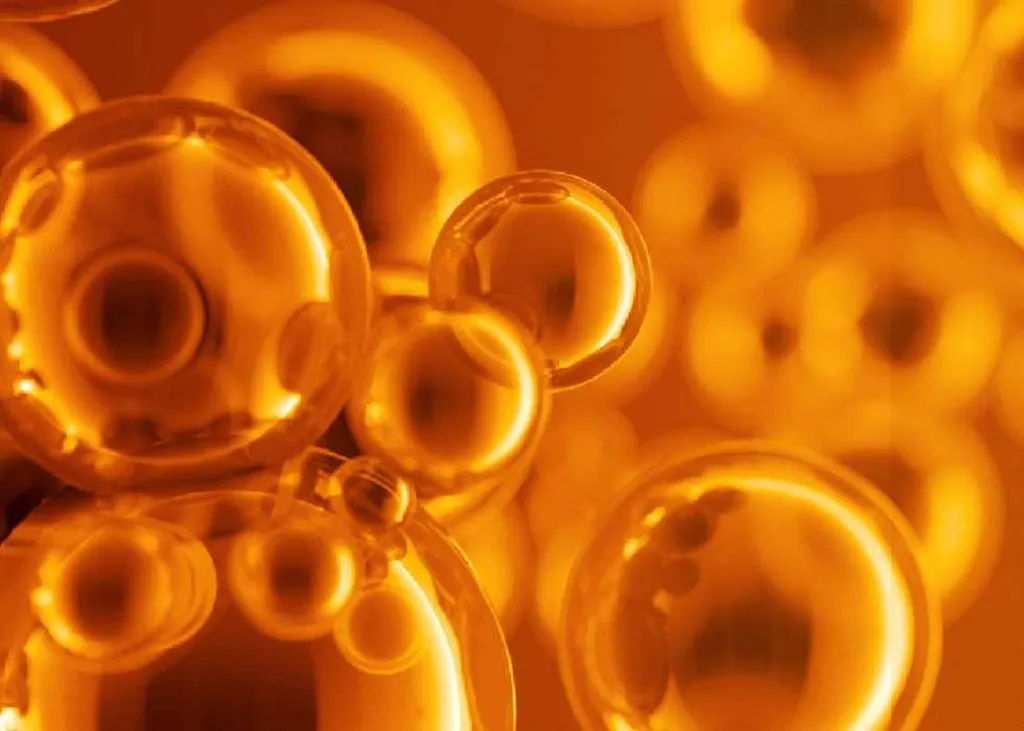 profhilo structura acide hyaluronique 