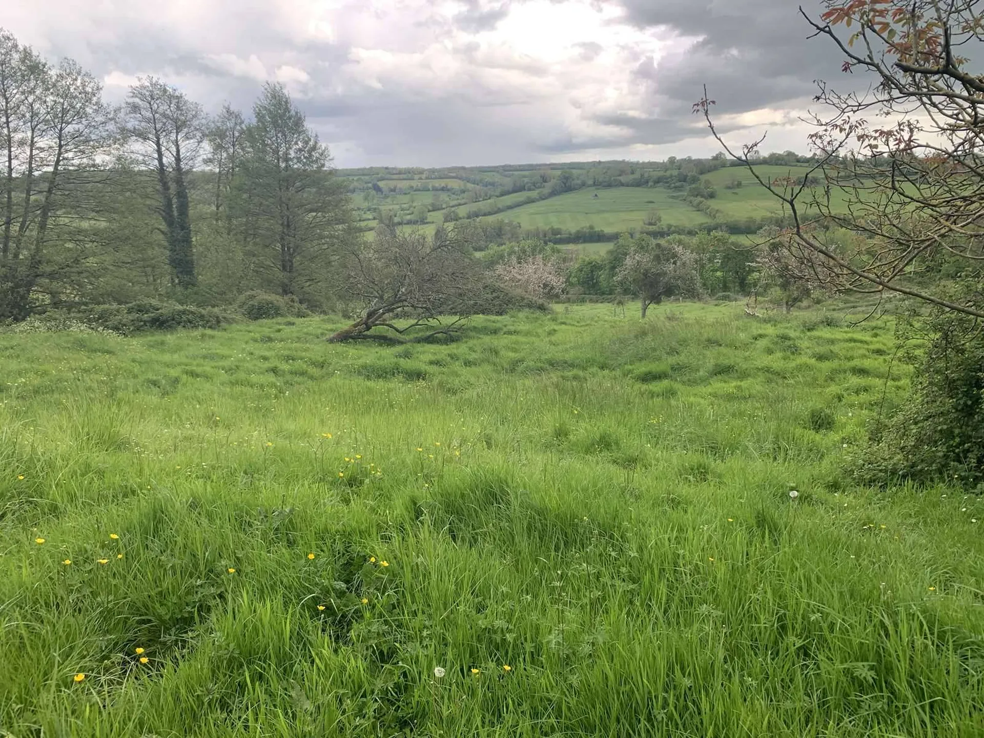 A proximité de VIMOUTIERS 61120 et situé sur le village de CAMEMBERT 61120, l'Agence Immobilière TERRES ET DEMEURES DE NORMANDIE à LISIEUX 14100, 41 Avenue Victor HUGO, vous propose en EXCLUSIVITE ce terrain en nature d'herbage d'une surface de 6ha 3