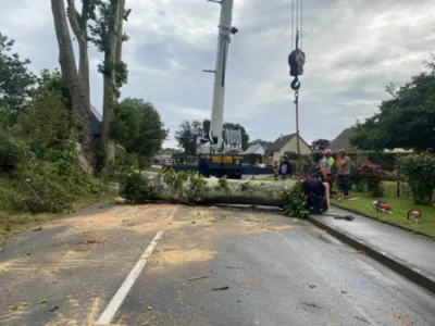 Abattage en démontage d'arbres dangereux à l'aide d'une grue proche de Fécamp 76