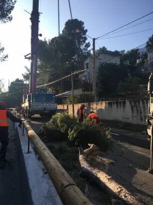 Abattage d'un arbre avec un camion grue à Vedène (Vaucluse) :  sécurité et expertise assurées