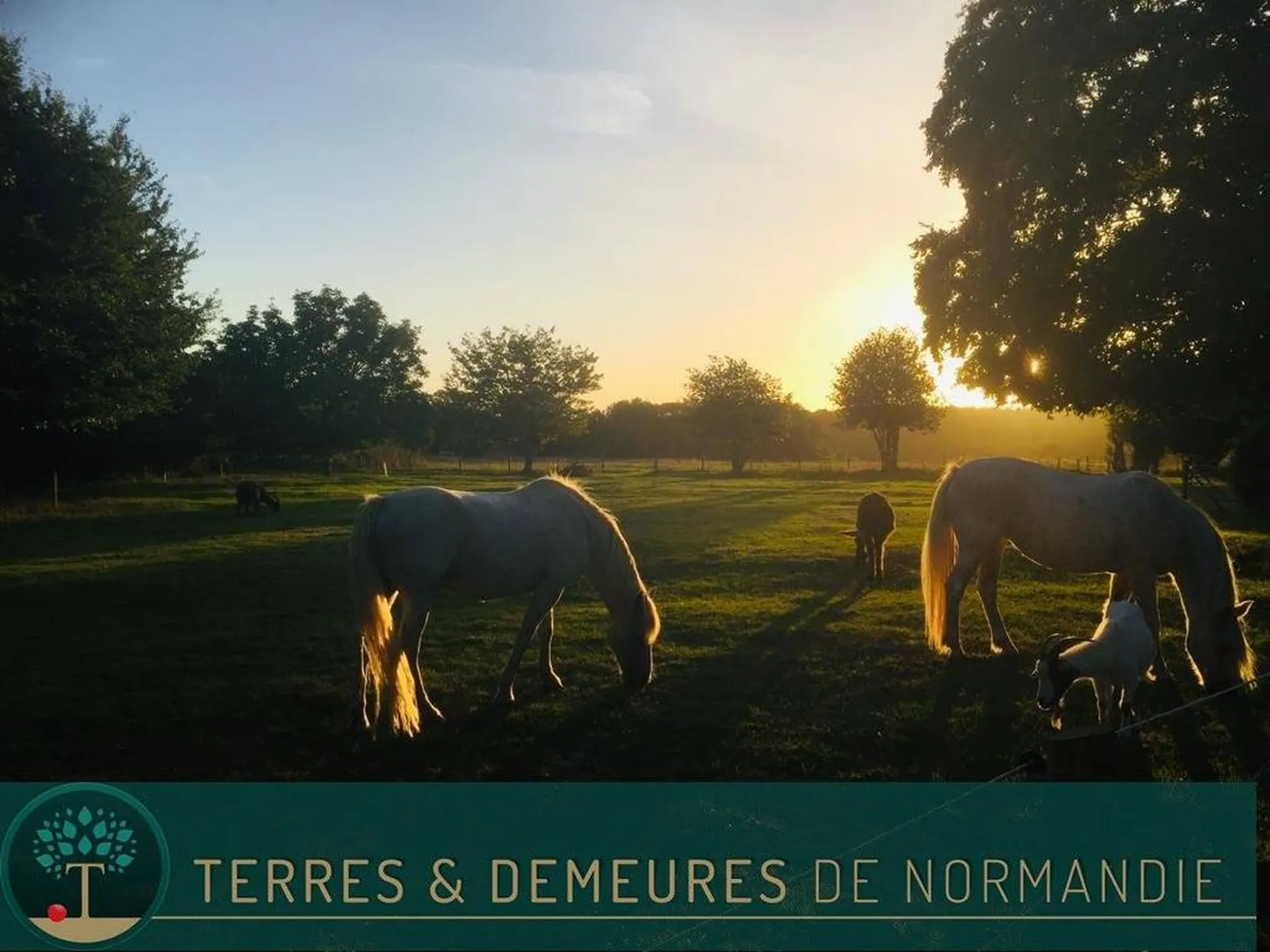 Maison Normande, Campagne de Bourneville, Eure 27