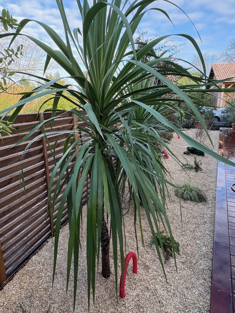 Création de massif végétal harmonieux et coloré sur Biscarrosse , Sanguinet, Parentis En Born, Mimizan, 