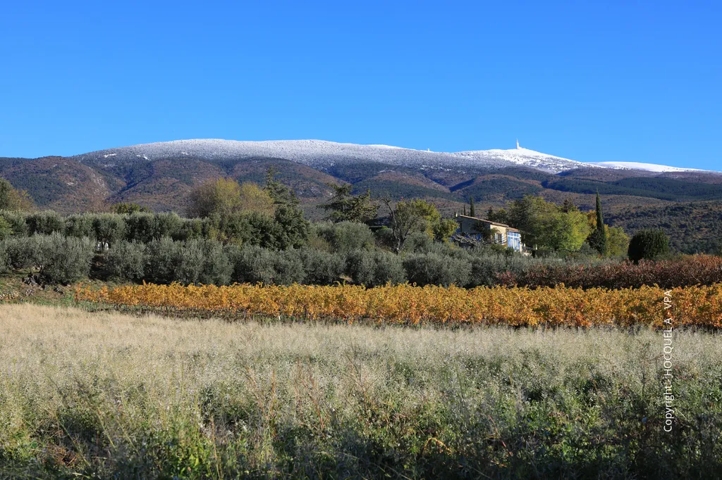 Experience the unforgettable contrasts of Mont Ventoux, where alpine winds, Mediterranean light and Provençal heritage meet in harmony