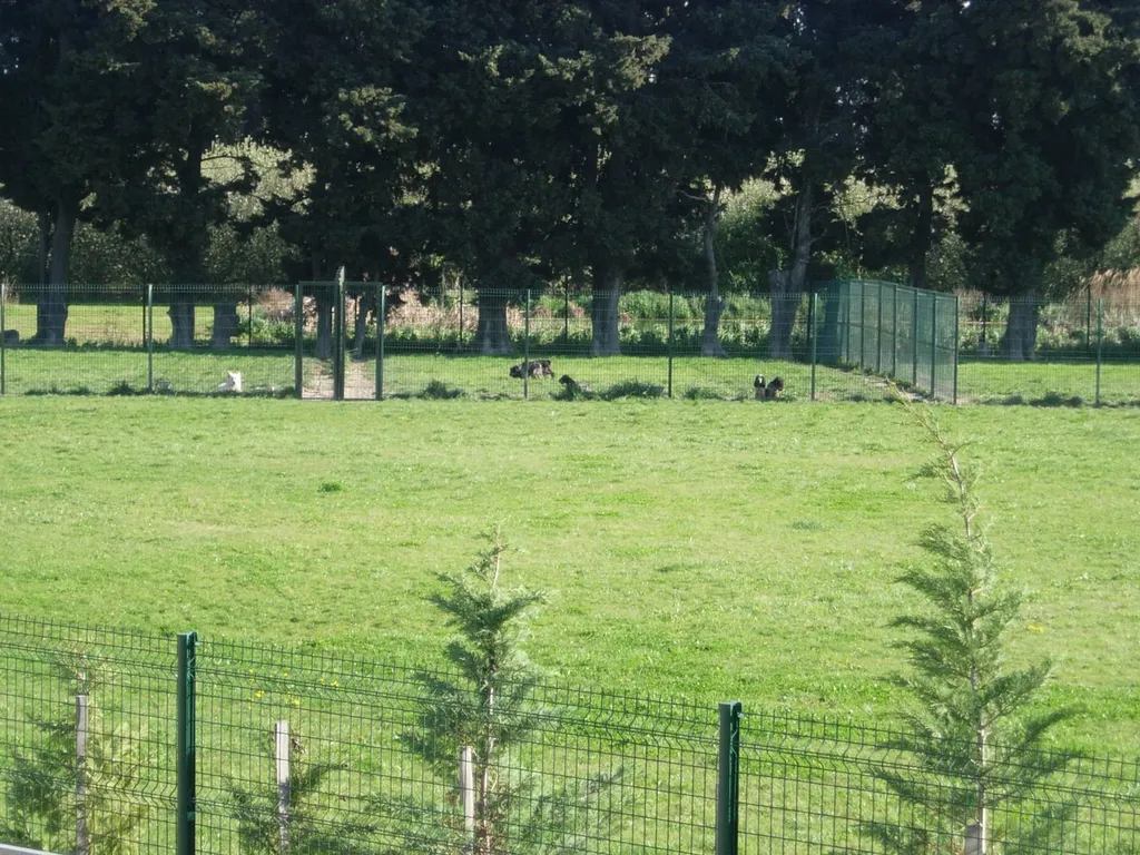 PARC DE DETENTE PENSION