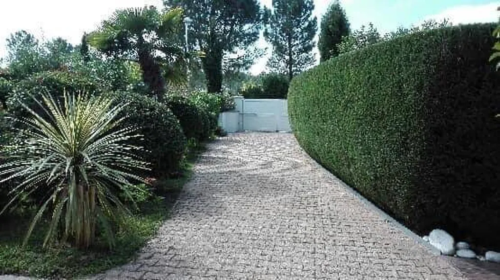 Opter pour un jardinier pour tailler une haie de cyprès aux alentours de Saint-Paul-en-Born
