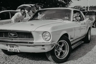 Comment choisir le véhicule de mariage idéal ?  - Les Mariages de Mademoiselle L - Laura Prunier