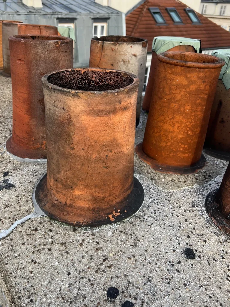 Traitement d'un nid de frelons dans une cheminée d’un immeuble de Marseille 13008