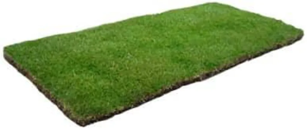 Jardin Minute à Grimaud pour du gazon en plaque