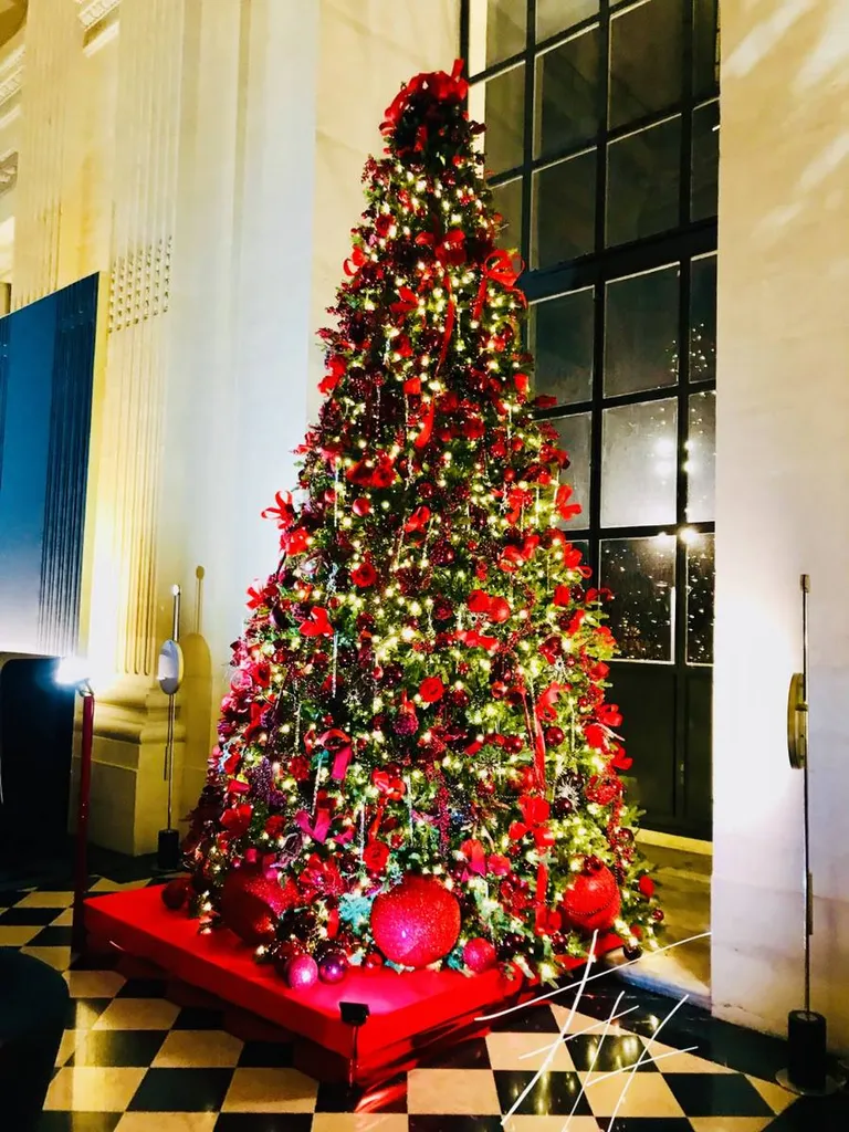 VOS SAPINS DE NOËL par FH Fleuriste