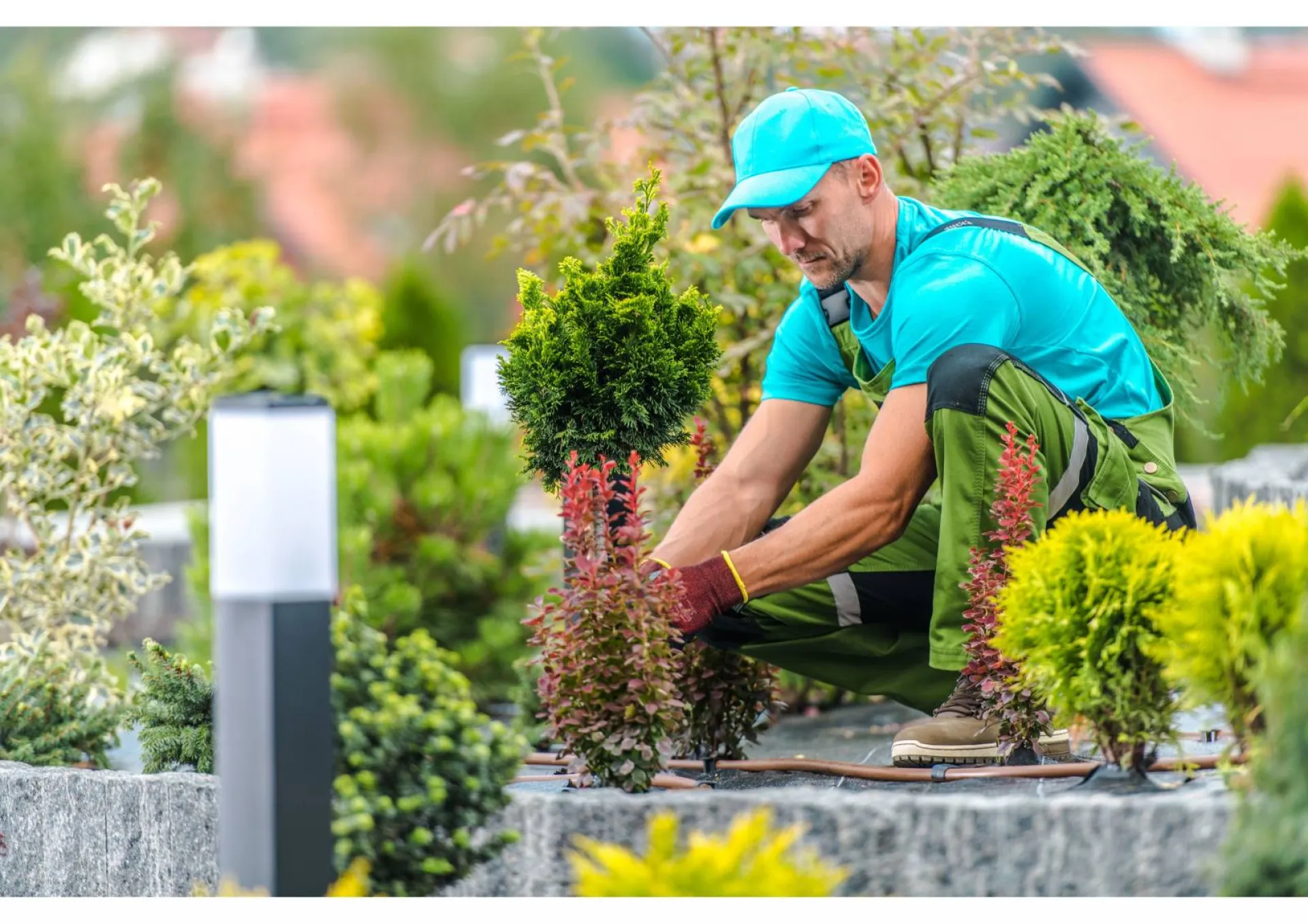 Amenagement de pourtour de maison dans le Lubéron