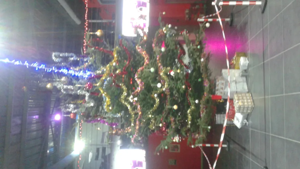 Organiser un Arbre de Noël original proche D'Aix En Provence