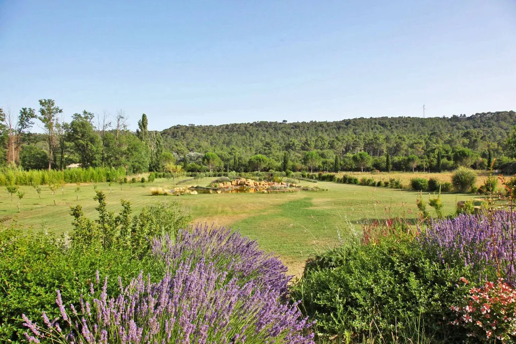 lavandes et vue dégagée en provence