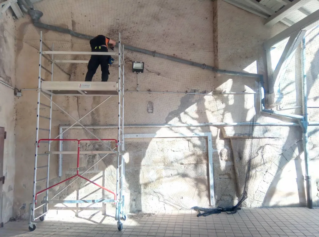 dégager les pigeons de ma cour à aix en provence