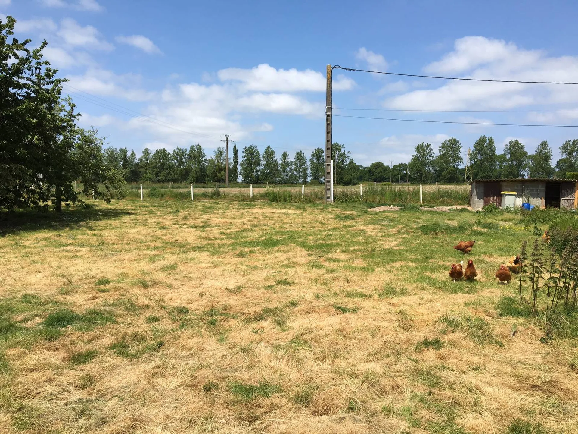 A vendre, beau terrain à bâtir, situé sur l'axe Caudebec en Caux / Yvetot