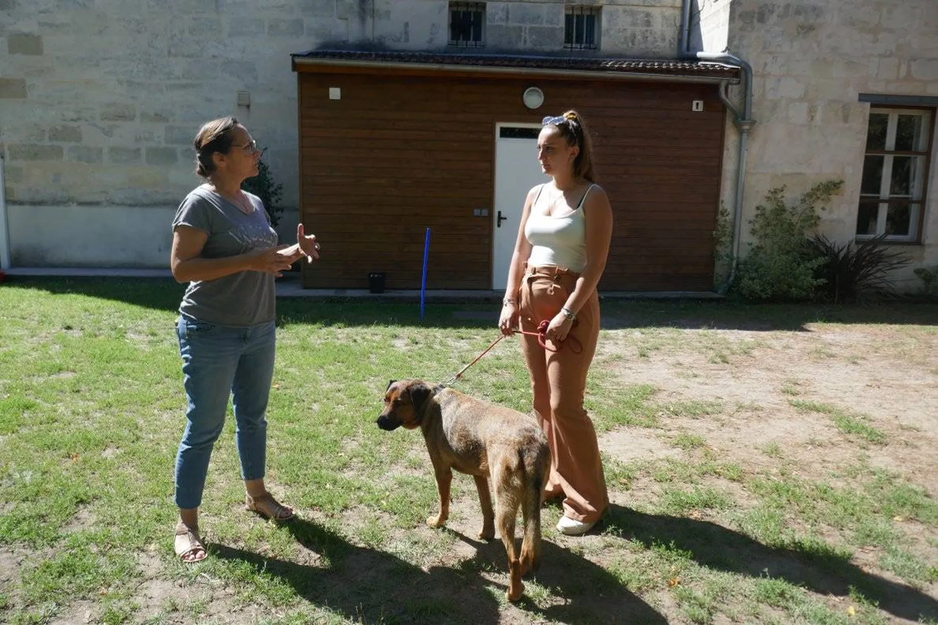 cours d'education en formation d'educateur canin comportementaliste