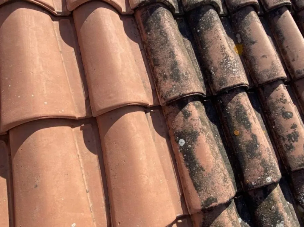 tuiles avec traitement sur venelles