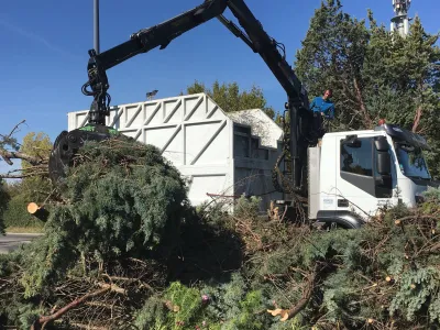 Élagage près des lignes électriques dans le Vaucluse, par élagueurs professionnels à Avignon