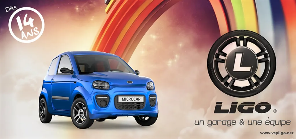 A quelle vitesse vont les voitures sans permis ?