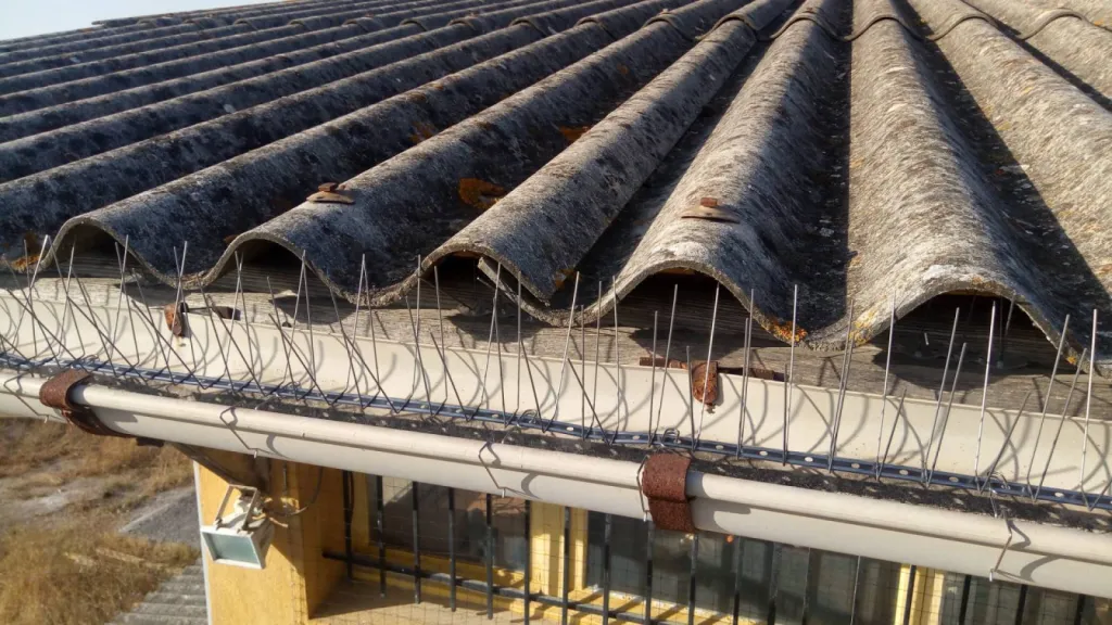 piques pour pigeon sur gouttières à aix 13100