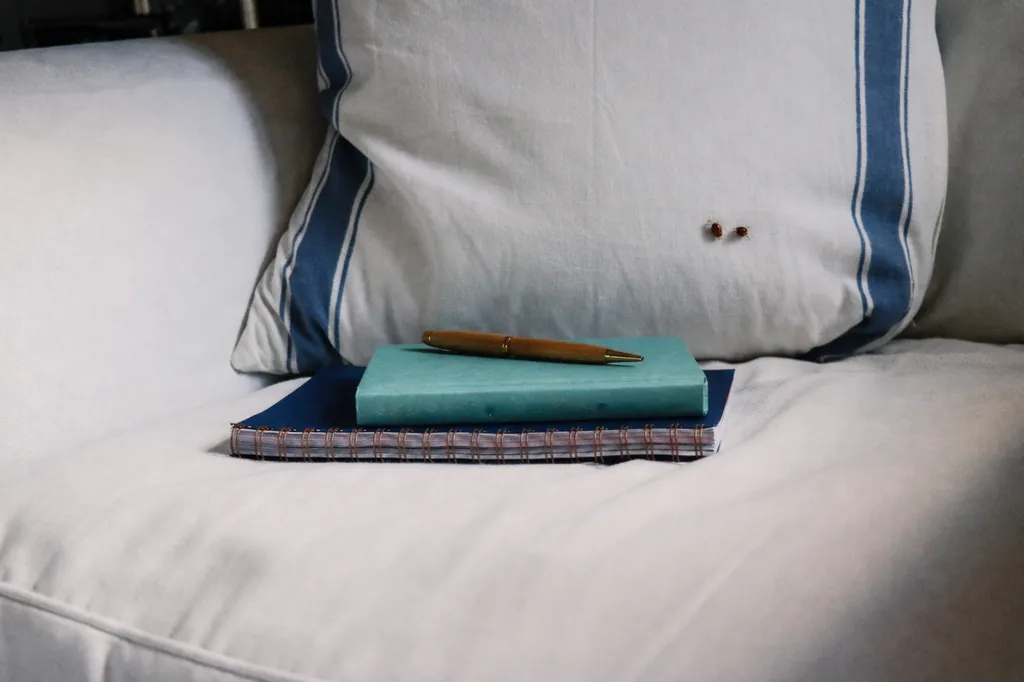 Punaises de lit dans un appartement dans un appartement d'une résidence à Saint-Denis