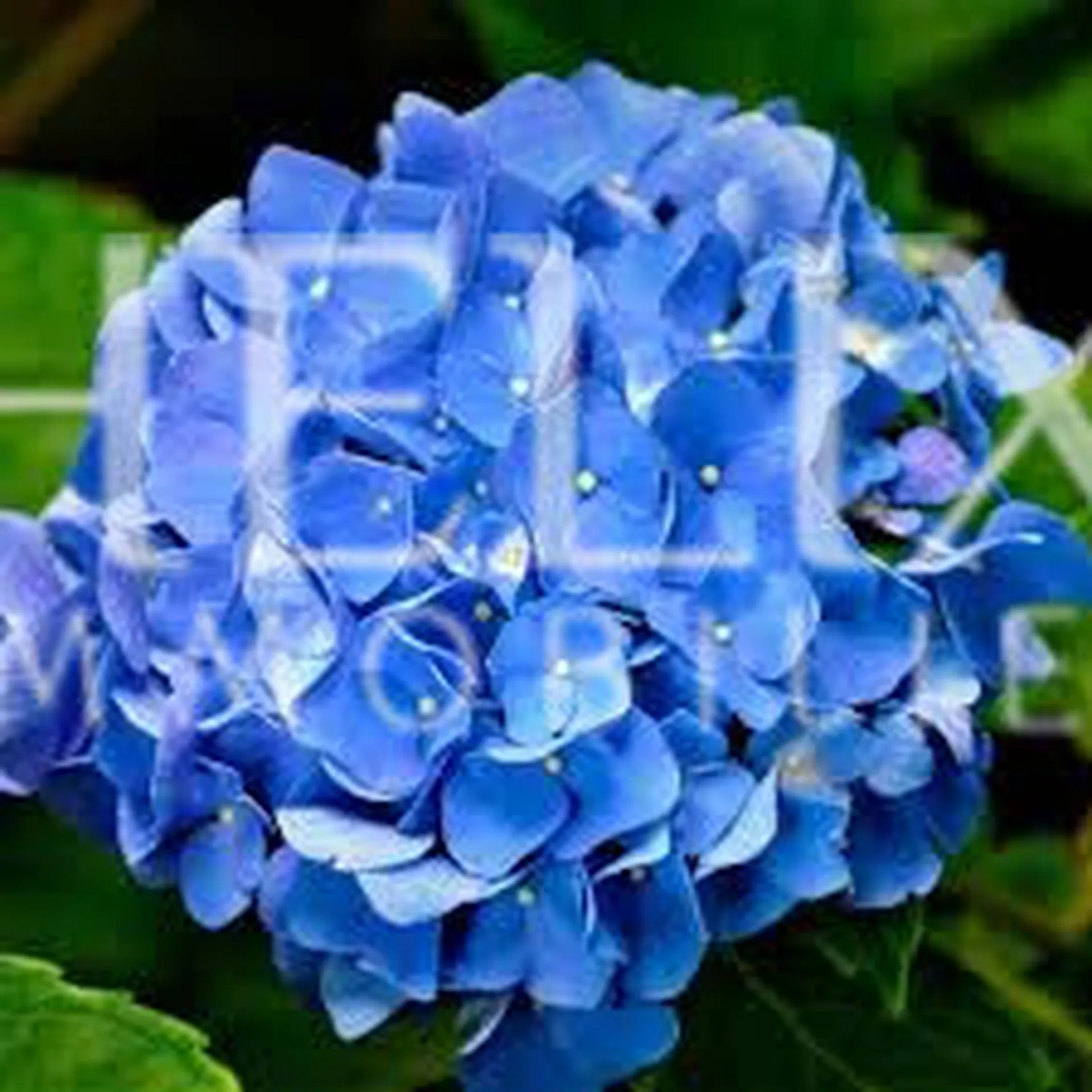 Bel emplacement de parking dans une résidence sécurisée, au sous-sol 2 places l'une derrière l'autre, proche  du lycée Jeanne d'Albret à Saint Germain en Laye, à 7 minutes à pied du RER A.