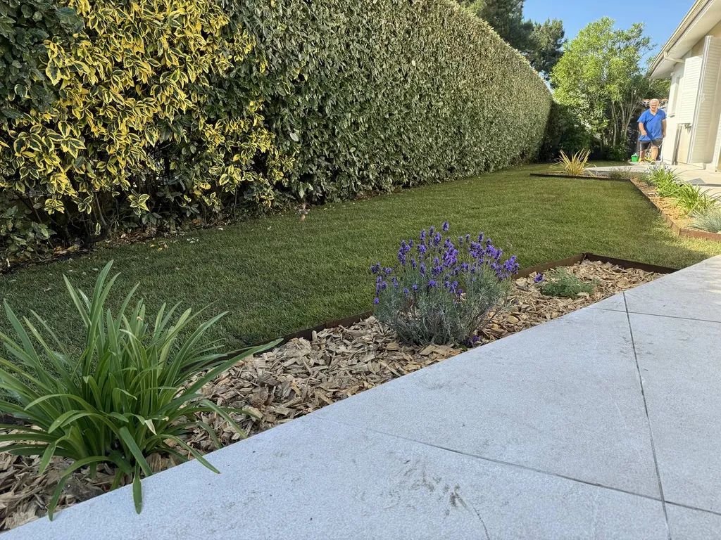 Pelouse d’un jardin métamorphosée en un espace esthétique et fonctionnel près de Bias : gazon, massifs, et paillage