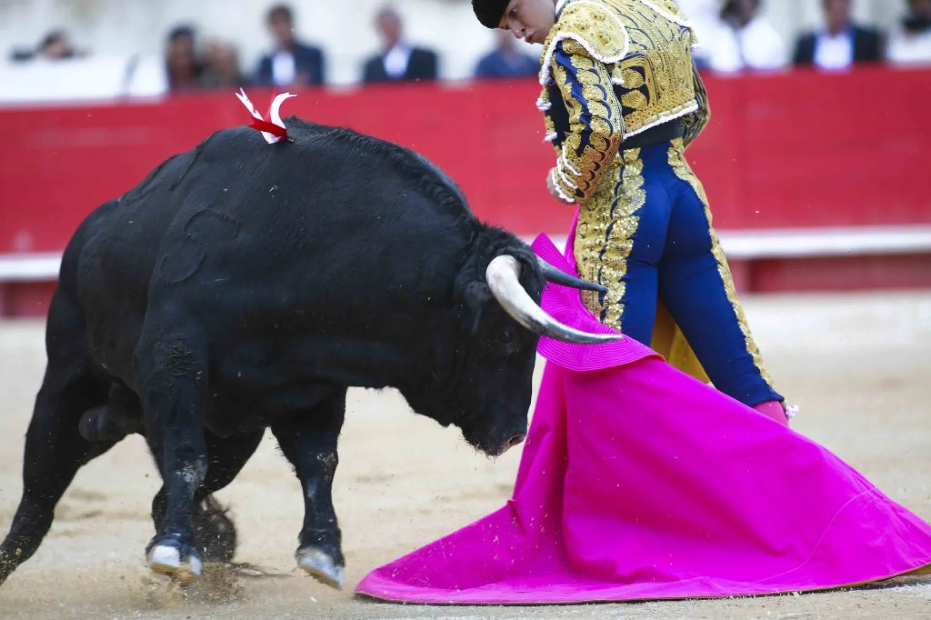 Taxi Aix en Provence pour Nîmes