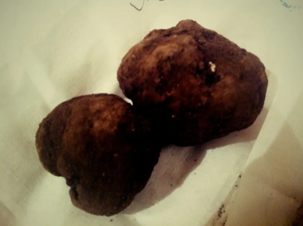 Truffe noire de Bagnoli, produit d'exception d'Italie