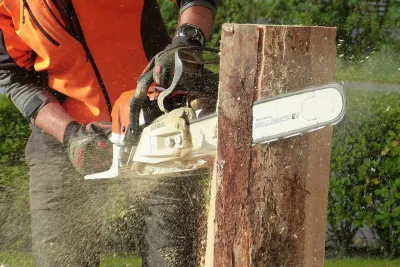 Entreprise pour l’abattage d’arbre dangereux dans le Vaucluse (84)