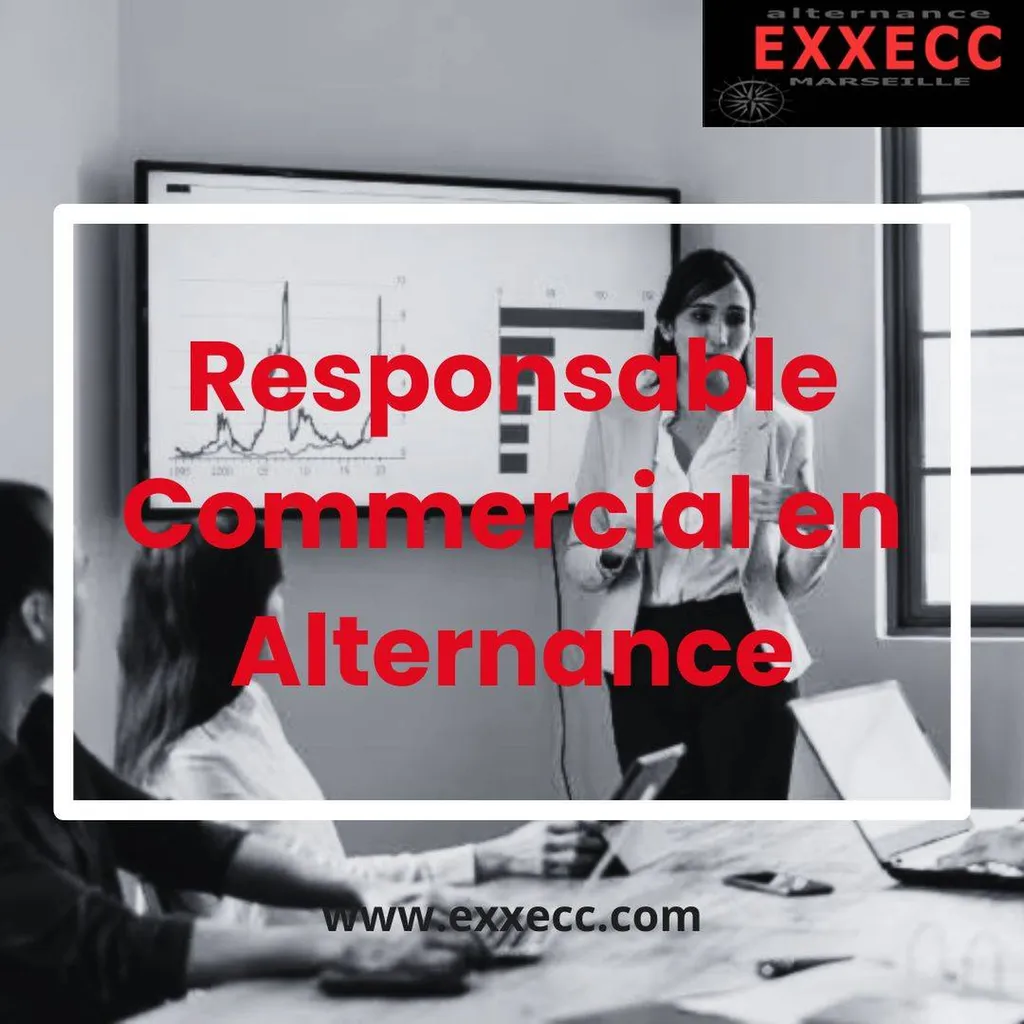 Responsable Commercial en Alternance