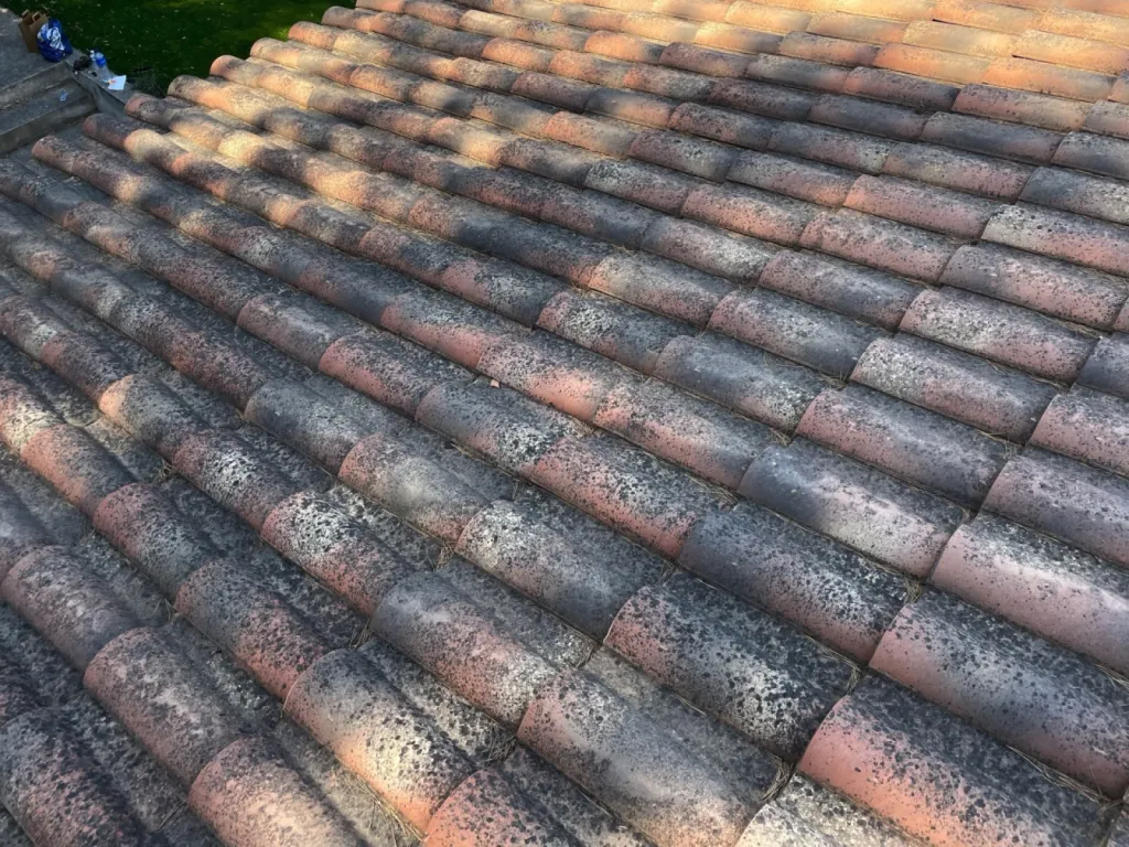 Nettoyage de Toiture à Saint-Chamas 13250