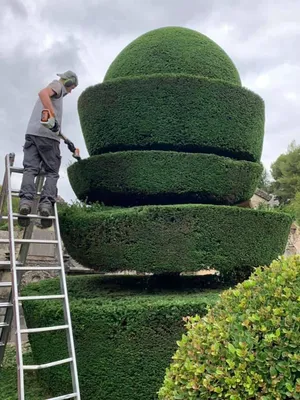 Carré Vert paysagistes professionnels pour entretien espaces verts communes dans les alpilles 13210