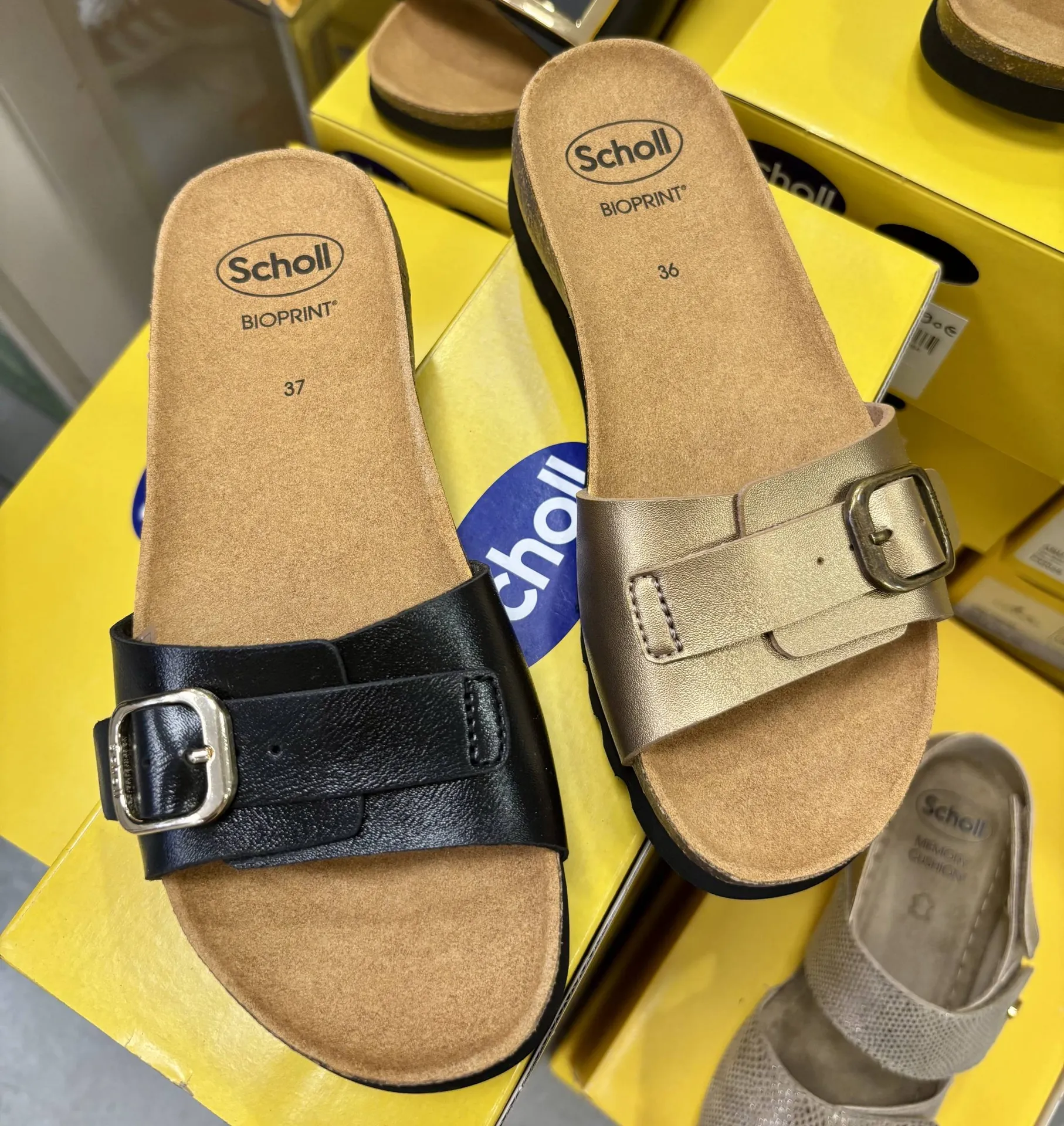 NOUVELLES SANDALES SCHOLL 2025 FEMME PHARMACIE DU PETIT BOSQUET 