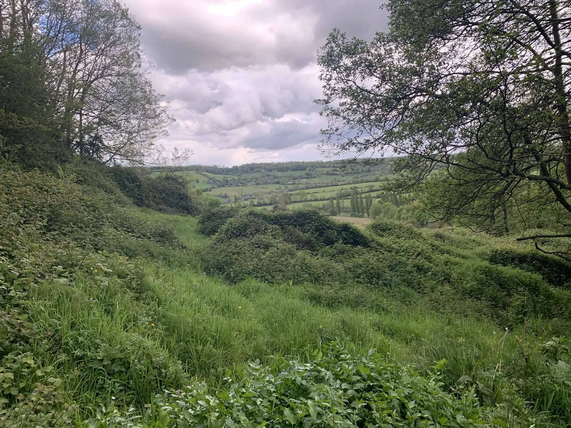 A proximité de VIMOUTIERS 61120 et situé sur le village de CAMEMBERT 61120, l'Agence Immobilière TERRES ET DEMEURES DE NORMANDIE à LISIEUX 14100, 41 Avenue Victor HUGO, vous propose en EXCLUSIVITE ce terrain en nature d'herbage d'une surface de 6ha 3