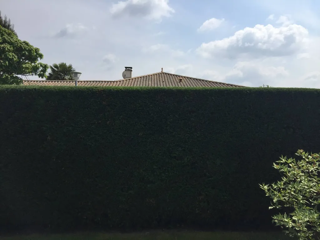 Entreprise de jardinage pour la taille de haie sur une propriété située près d’Ychoux