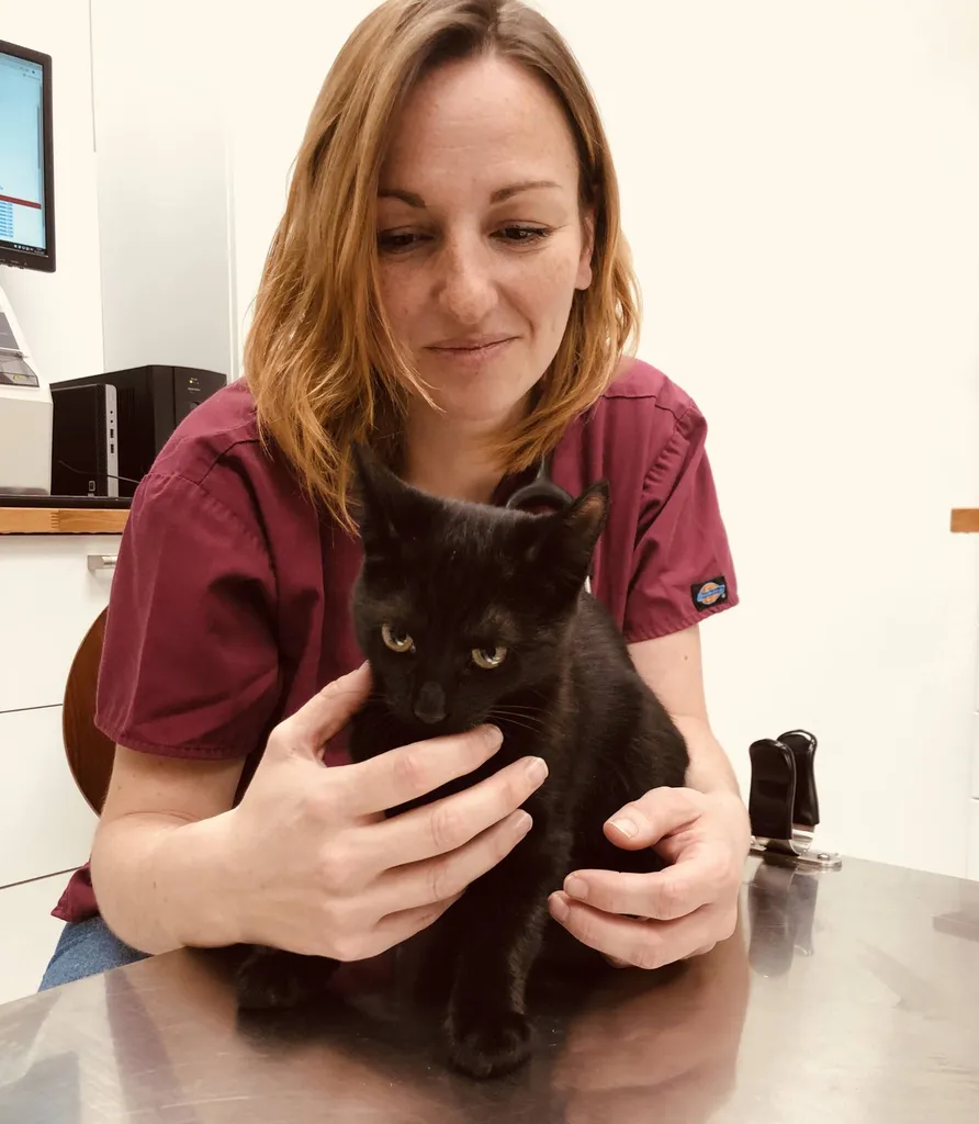 Docteur Émilie Cardinaud