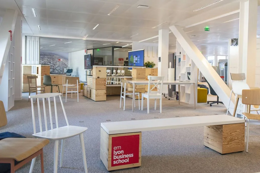 Installation et expertise 2cole de Management Lyon
