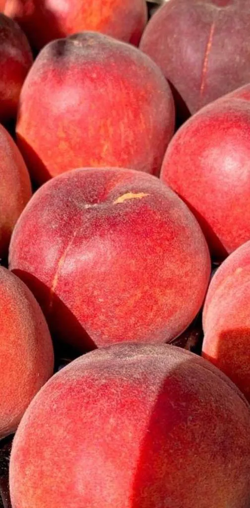 Livraison direct producteur des pêches et nectarines de Provence à Marseille