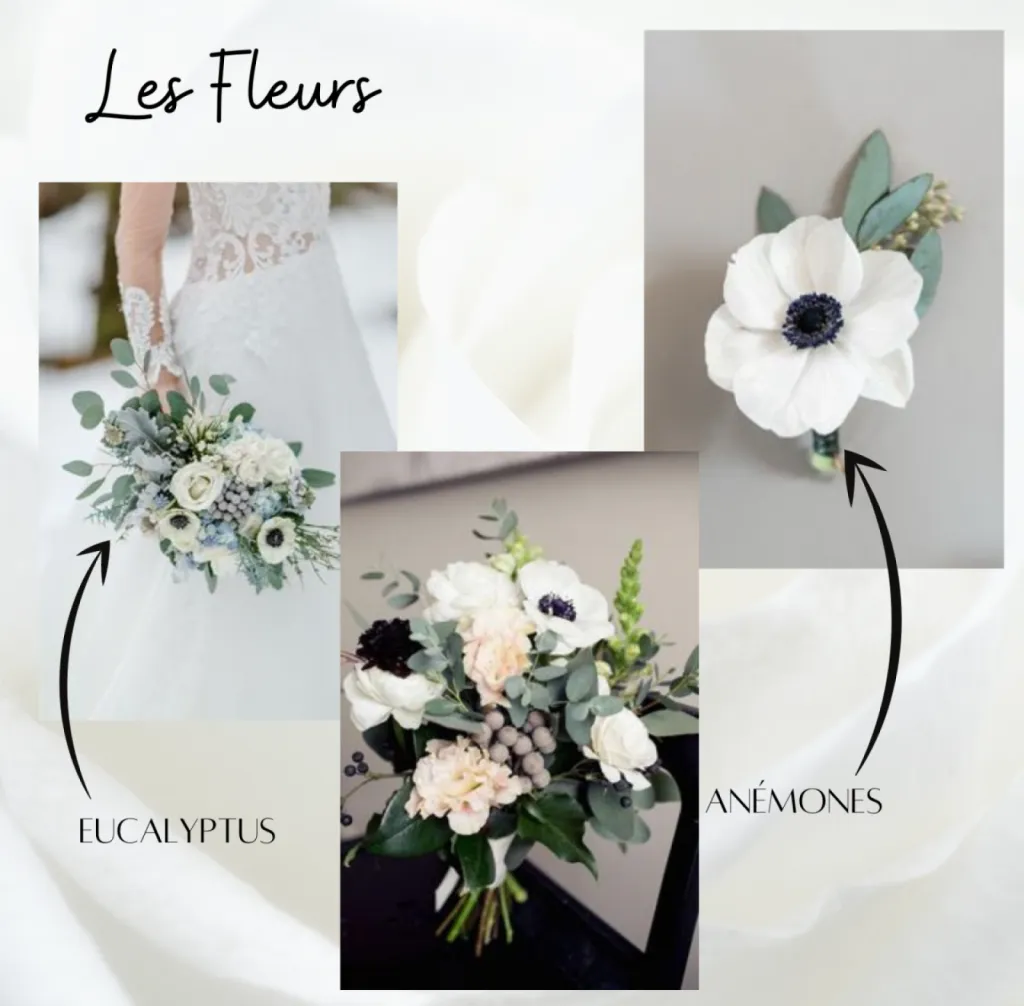 Des modules vidéos remplient des conseils de votre Wedding Planer à Bordeaux 